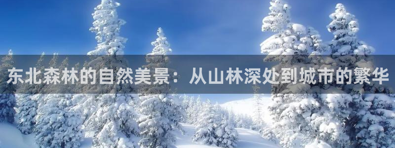 新宝gg什么