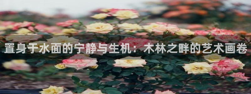 新宝gg创造奇迹 新宝gg
