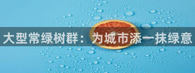 新宝gg开户流程