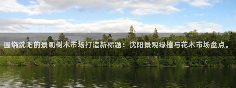 收新宝gg