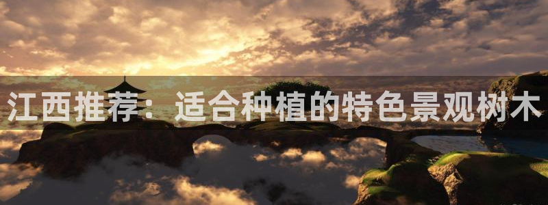 新宝gg是在境外吗