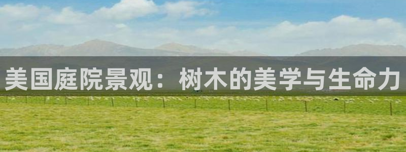 菲律宾新宝gg娱乐