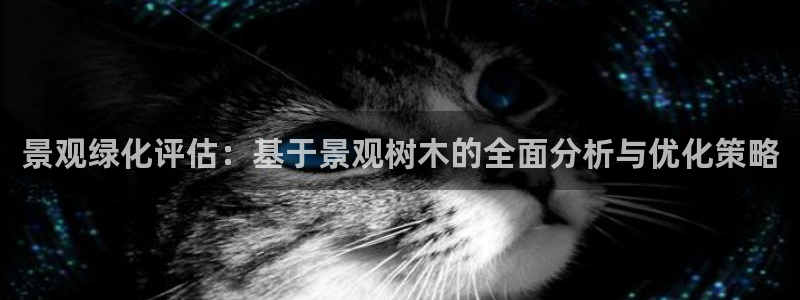 新宝gg有规律么