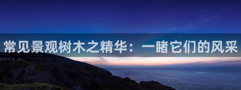 新宝gg属于
