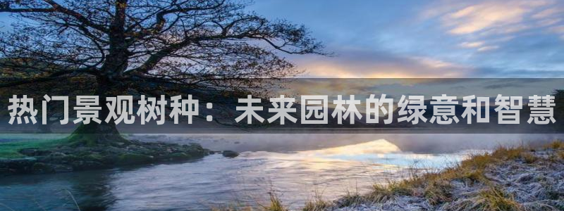 新宝GG管理