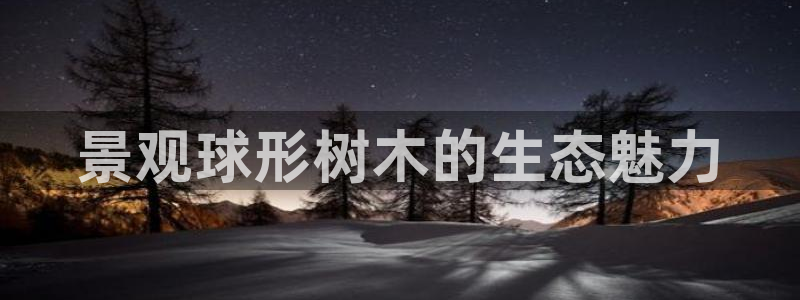 新宝gg返点模式