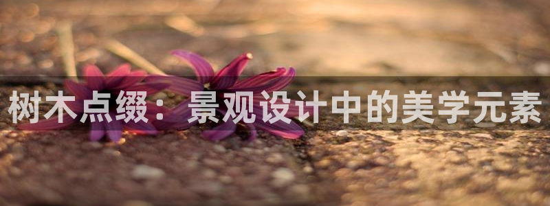 新宝gg-