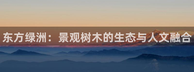 新宝gg 内部 8