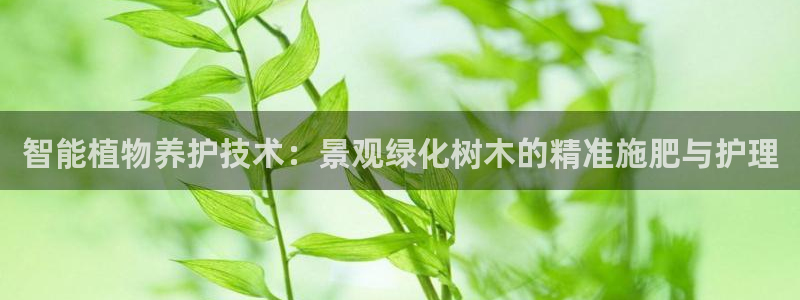 新宝gg 主管