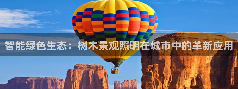 新宝哈哈gg