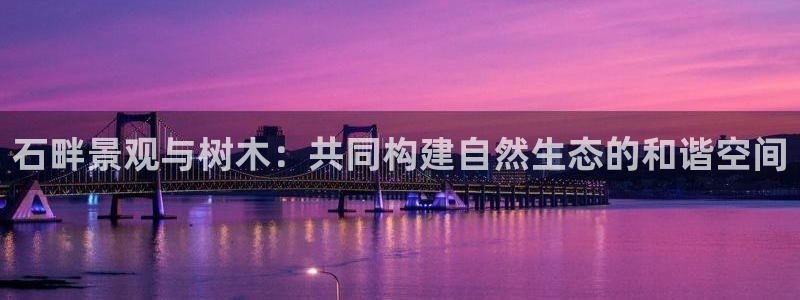 新宝GG创造奇