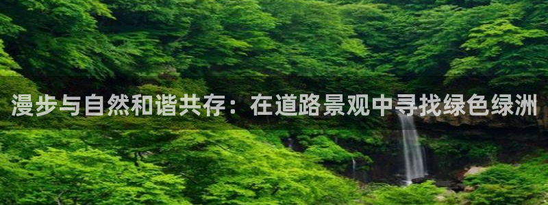 新宝gg传奇