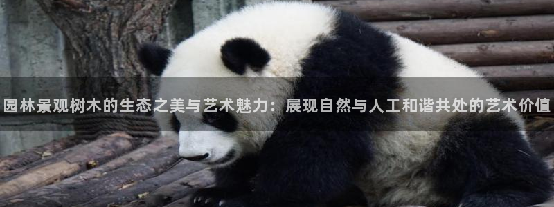 新宝gg娱乐盟主