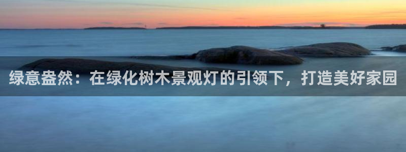 新宝GG53339咨询新宝GG