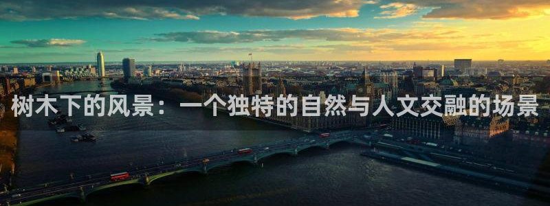 新宝gg为什么没人管