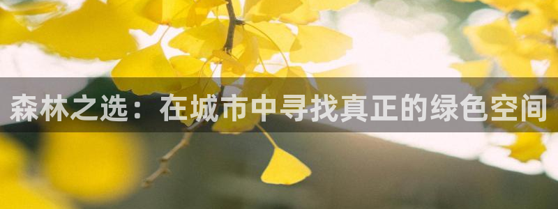 创造奇迹新宝gg