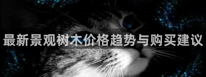 新宝gg运营88383
