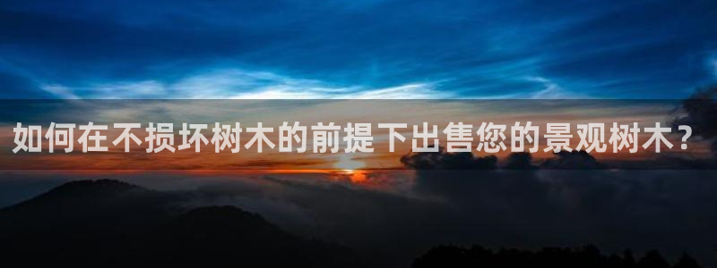 新宝GG娱乐下载