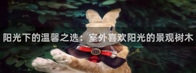 认准新宝gg