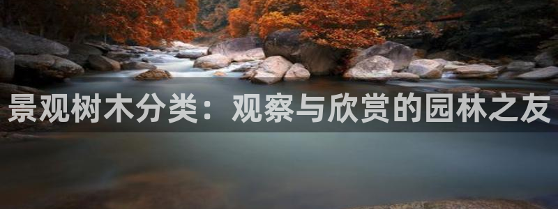 新宝GG苹果版
