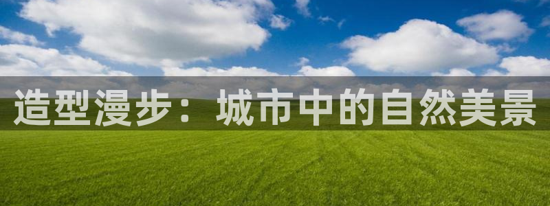 新宝gg下载