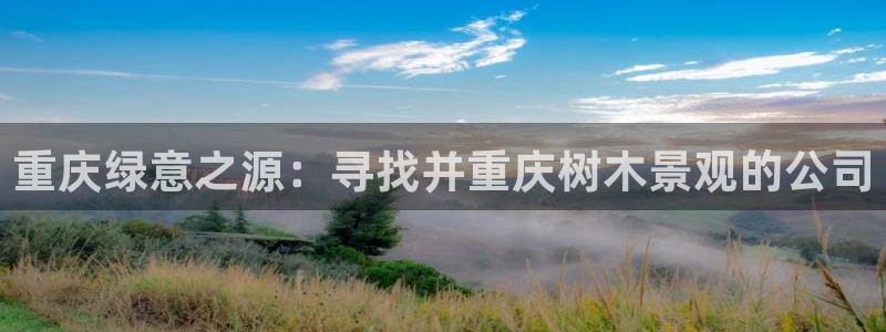 新宝gg怎么样
