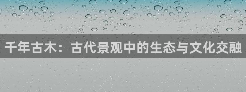 新宝gg网点