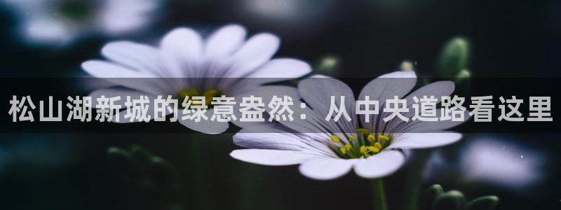 gg新宝时时彩