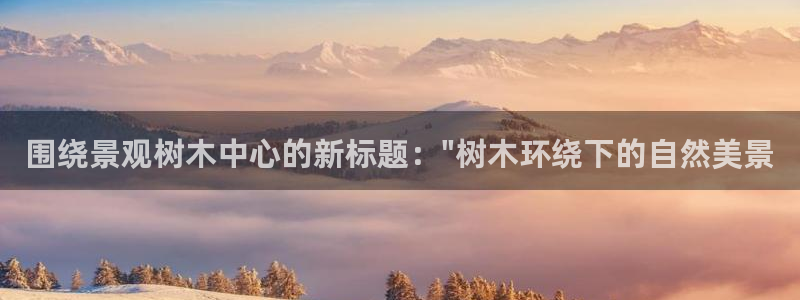 新宝gg游戏平台