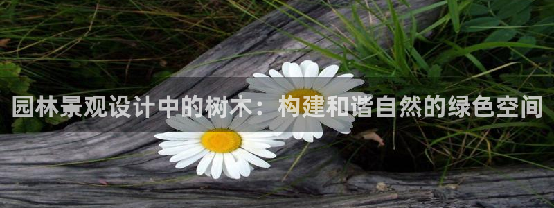 新宝gg龙腾