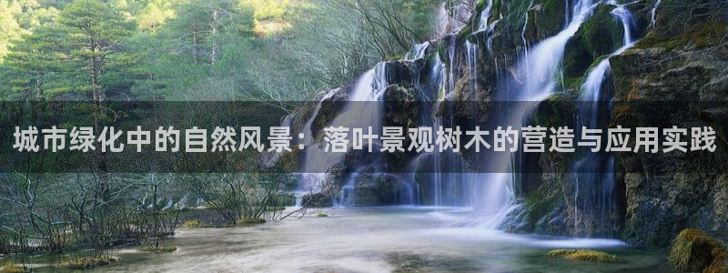 新宝gg地址