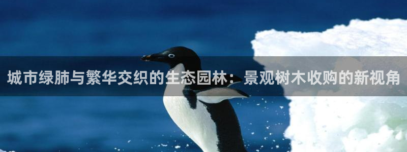 新宝gg网站