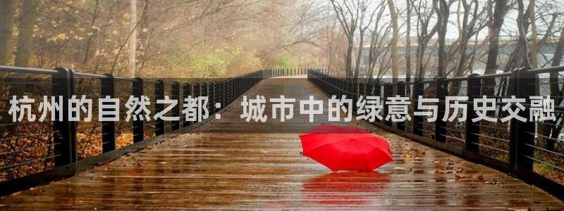 新宝GG—创造奇迹