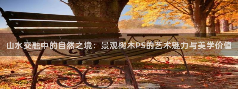 新宝新宝gg开户流程