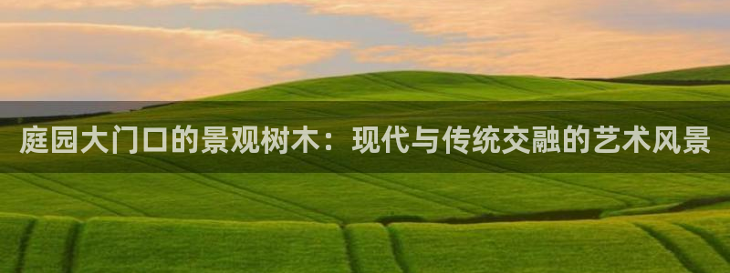 新宝gg黑平台