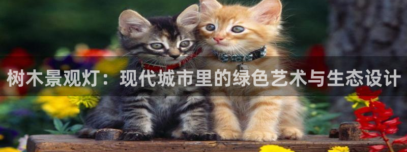 新宝gg官方下载