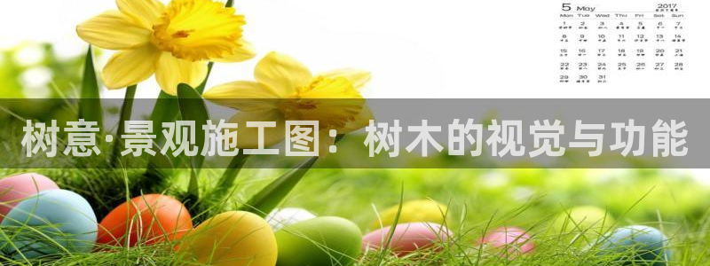 创造奇迹 新宝gg