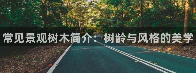 新宝gg娱乐主管q42873：常见景观树木简介：树龄与风格的美学
