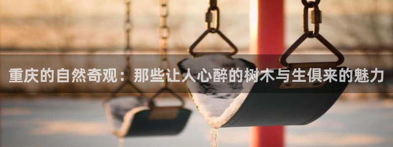 新宝gg可靠