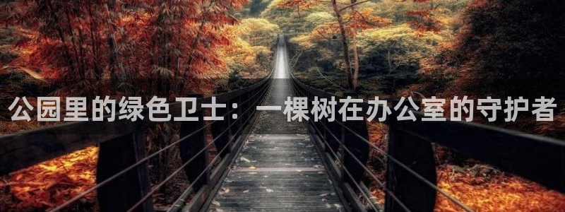 新宝 gg 登