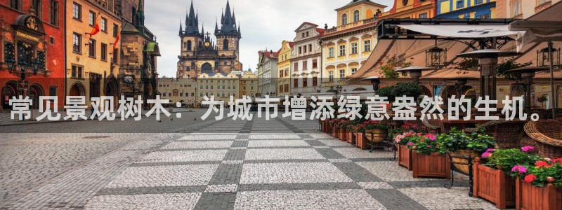 新宝gg线长：常见景观树木：为城市增添绿意盎然的生机。