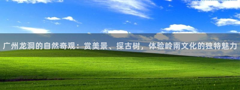 新宝gg登陆