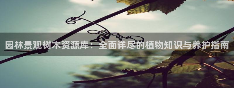 新宝gg充值