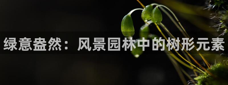 新宝 gg最新