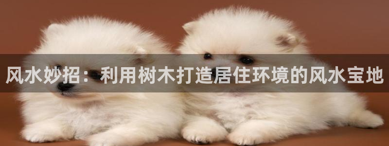 新宝gg游戏登录：风水妙招：利用树木打造居住环境的风水宝地