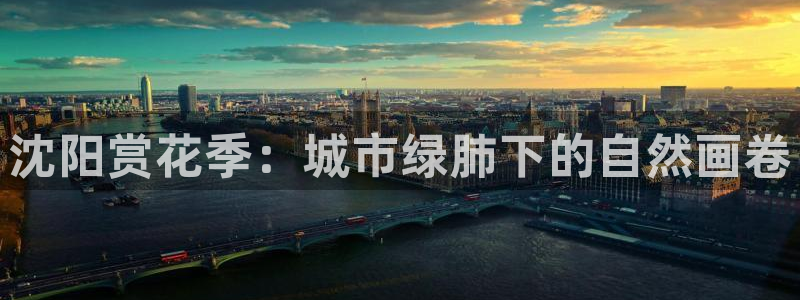 新宝一gg测速：沈阳赏花季：城市绿肺下的自然画卷