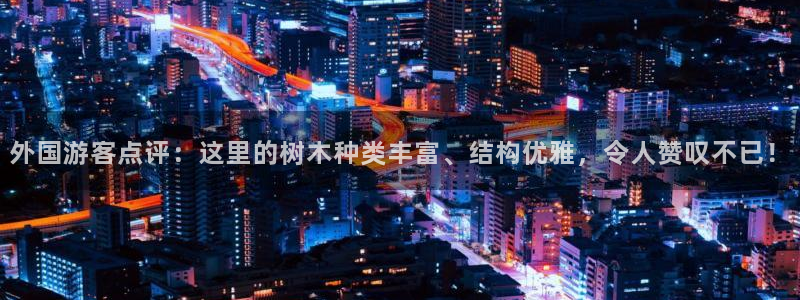 新宝gg和新宝123