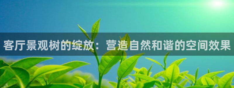 新宝gg是什么