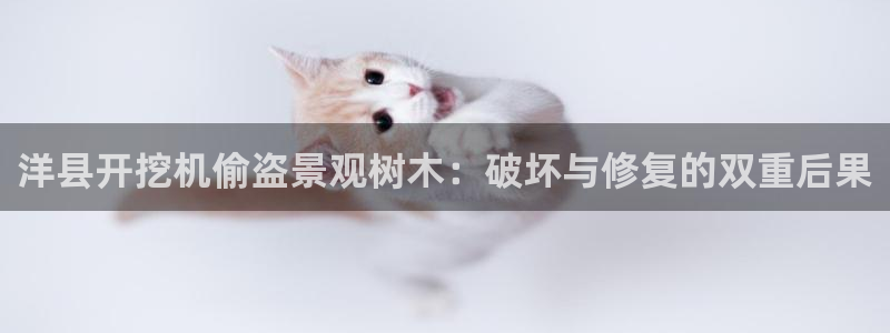 新宝gg创建奇迹