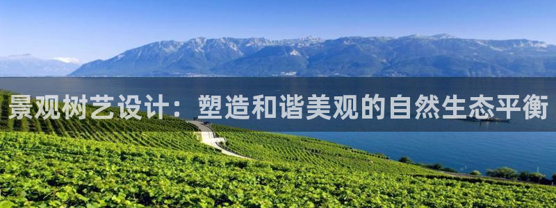 新宝gg娱乐主管q42873